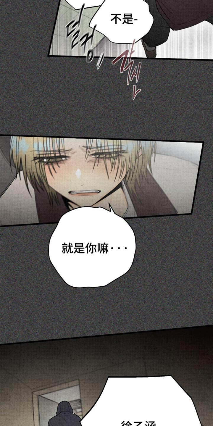 第85话17