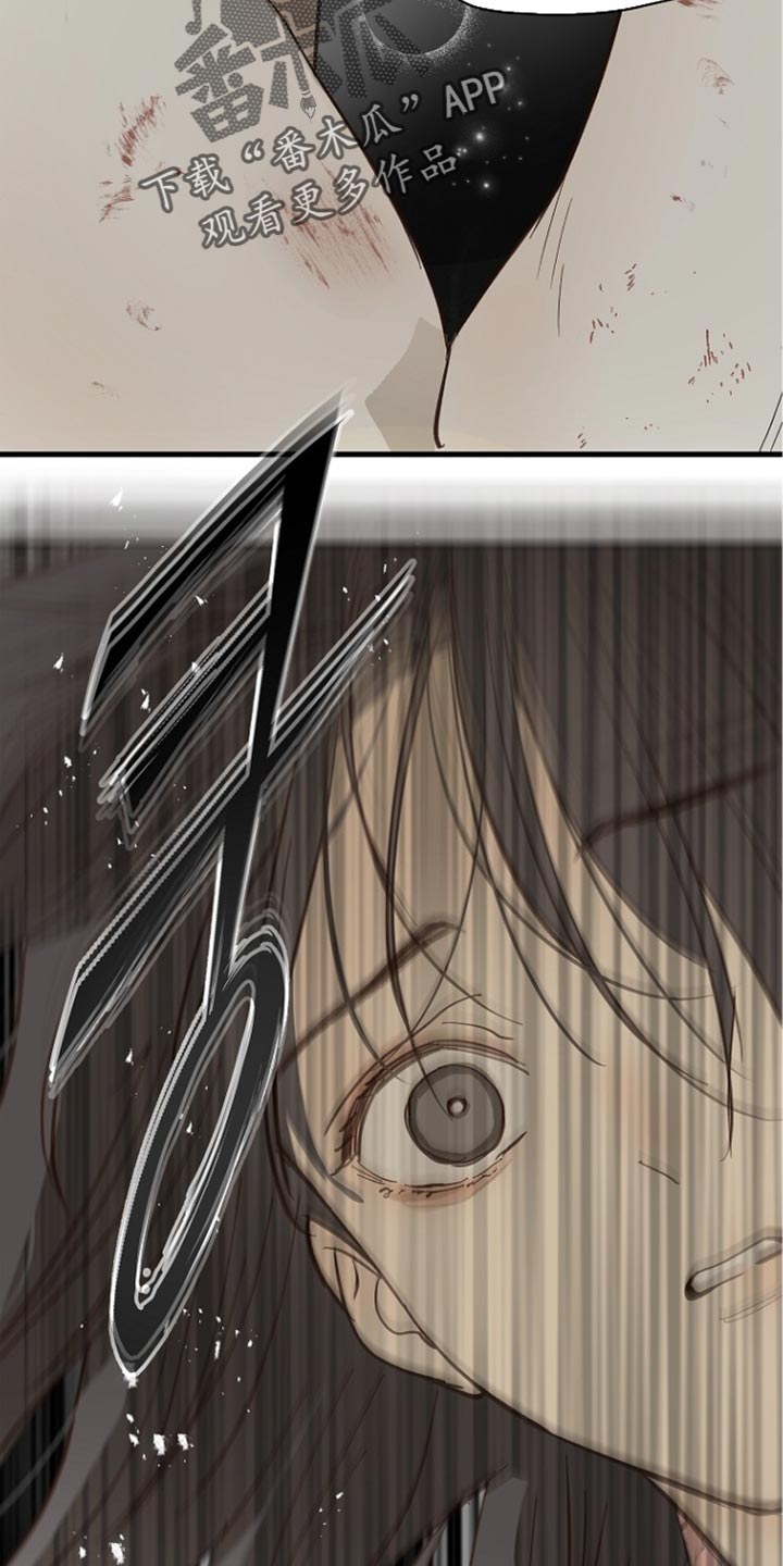 第110话 第41页