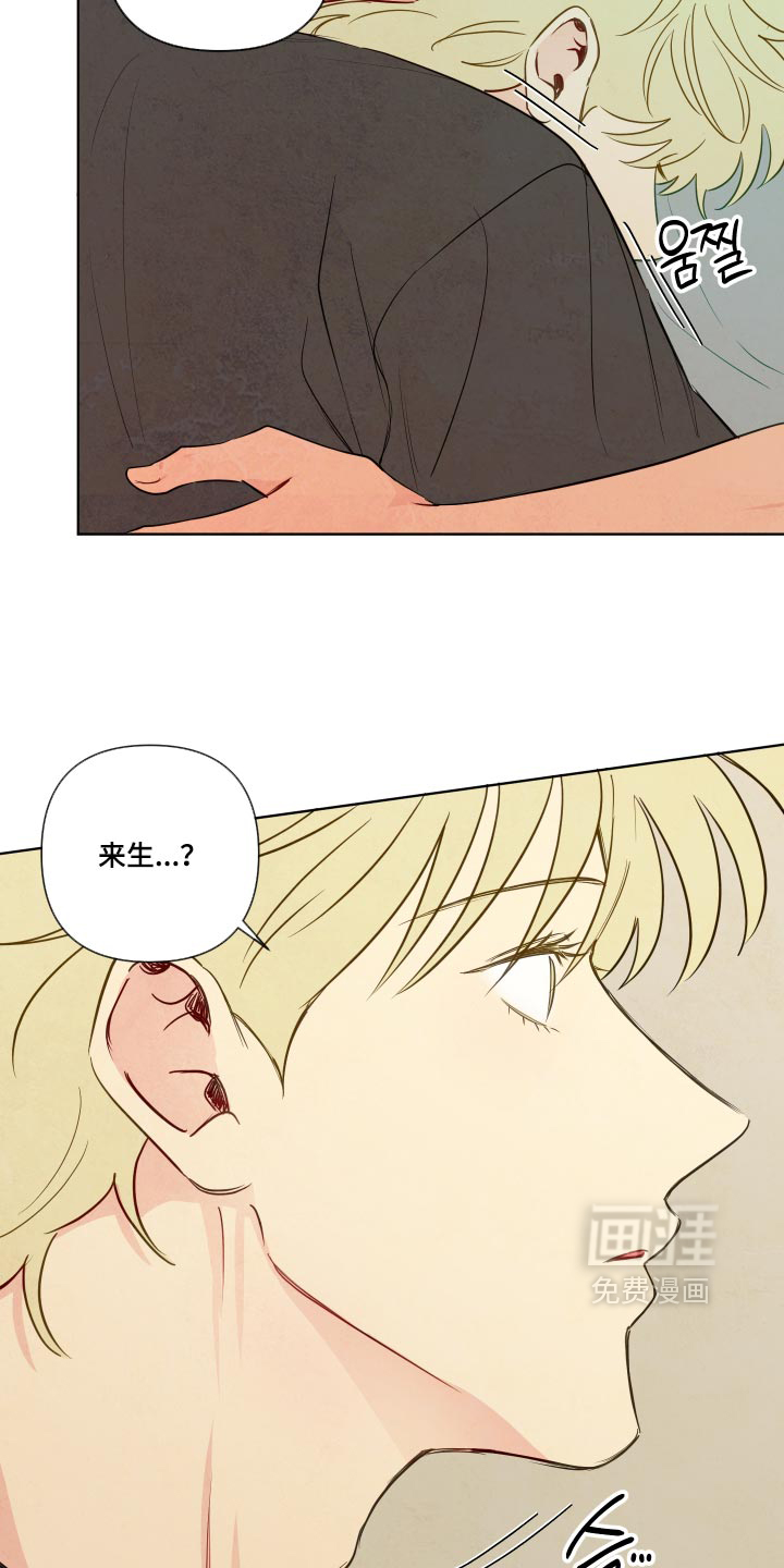 第113话17