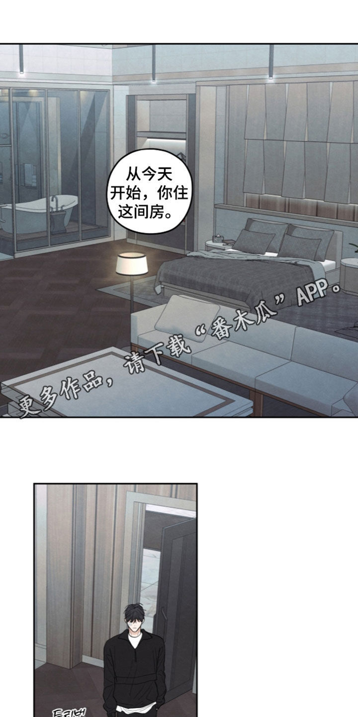 第204话0
