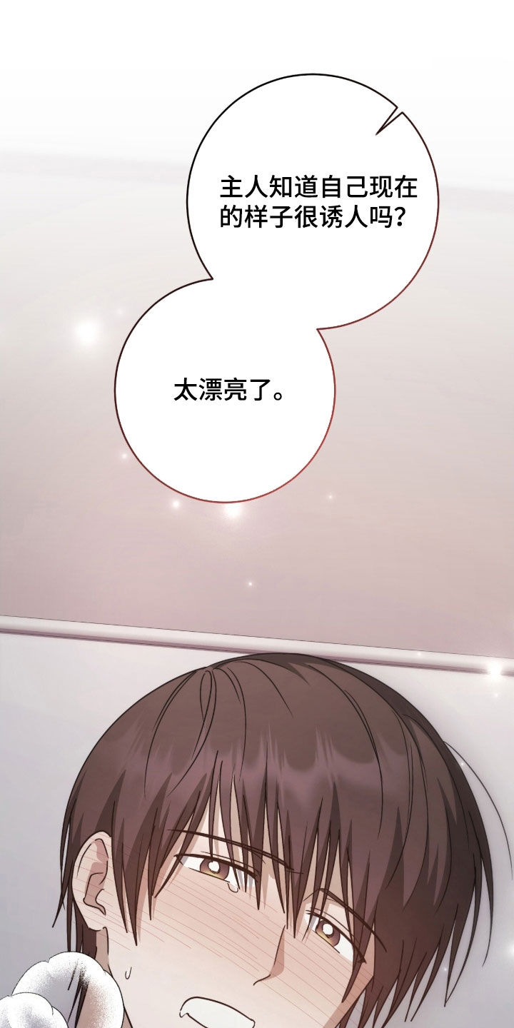 第114话 第5页