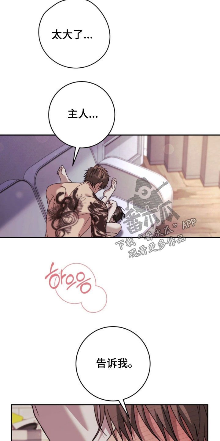 第114话 第17页