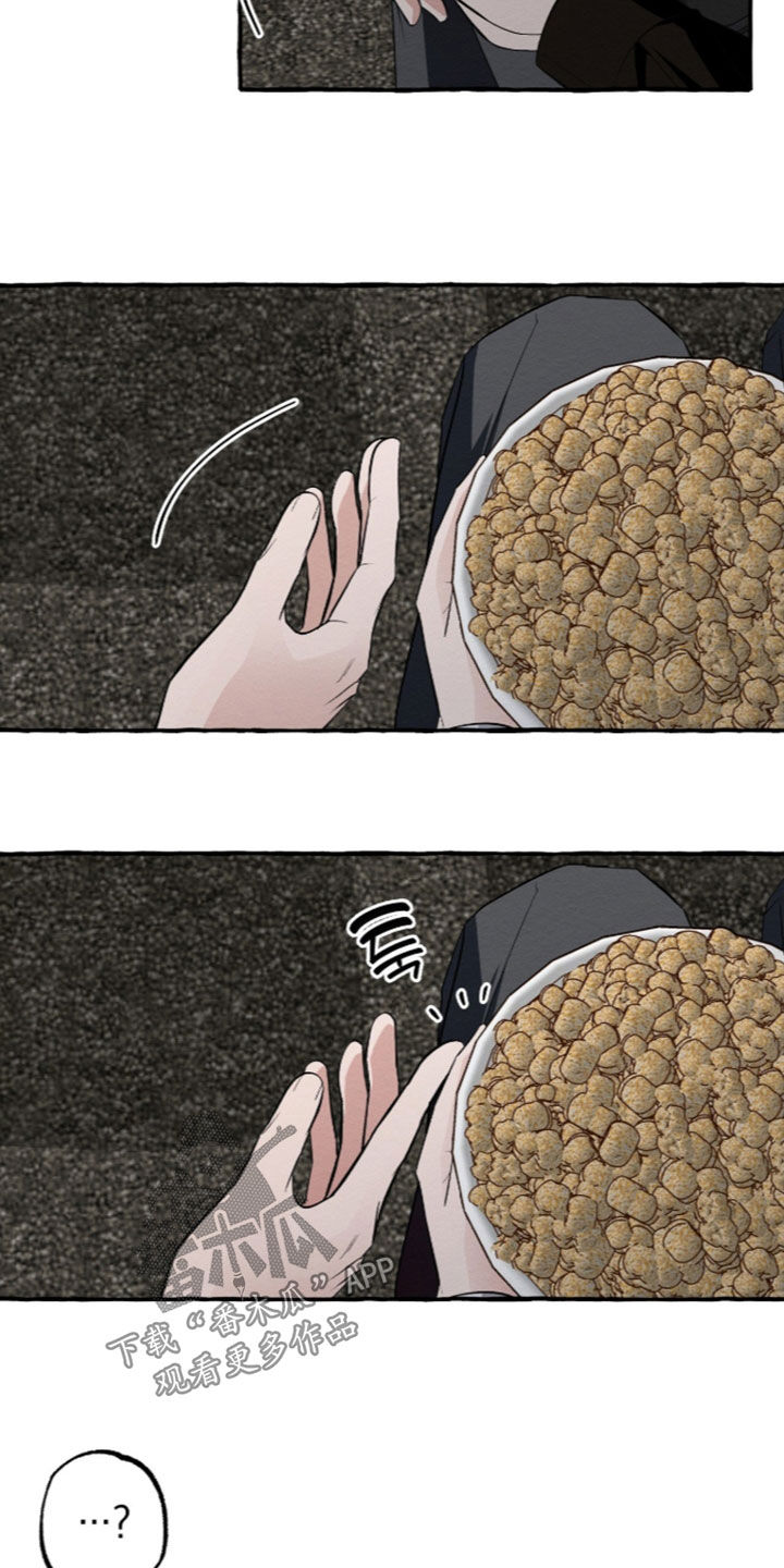 第66话 第6页