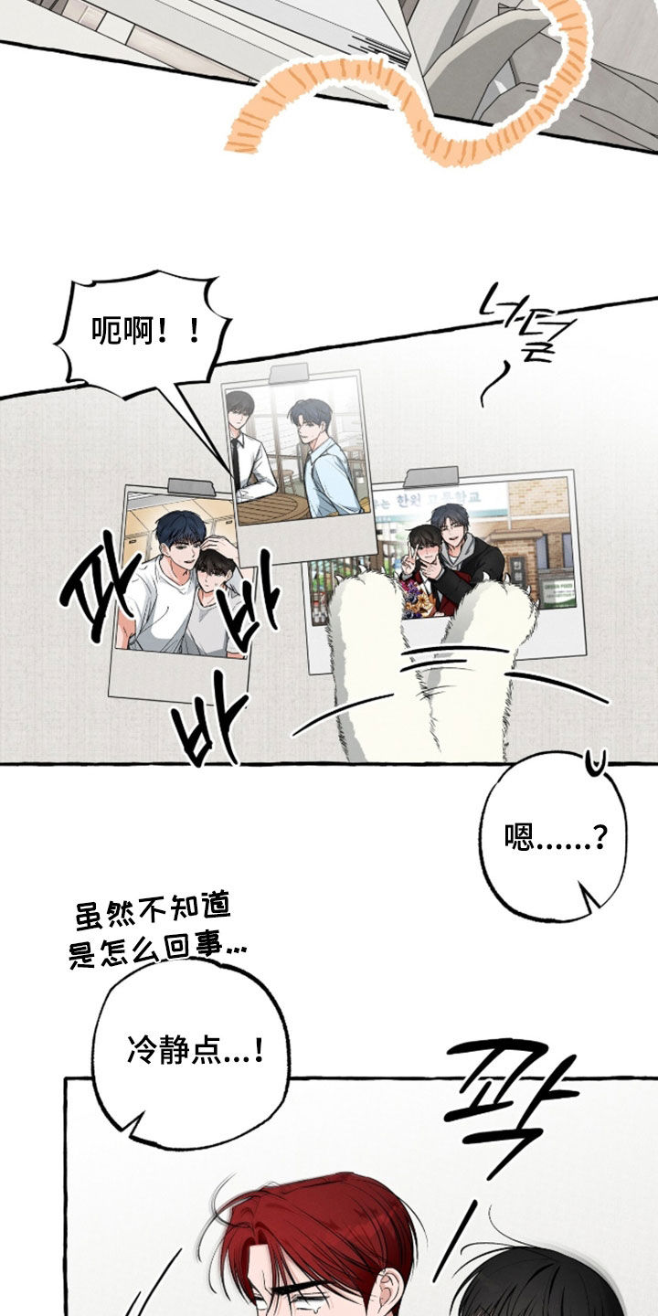 第55话 第13页
