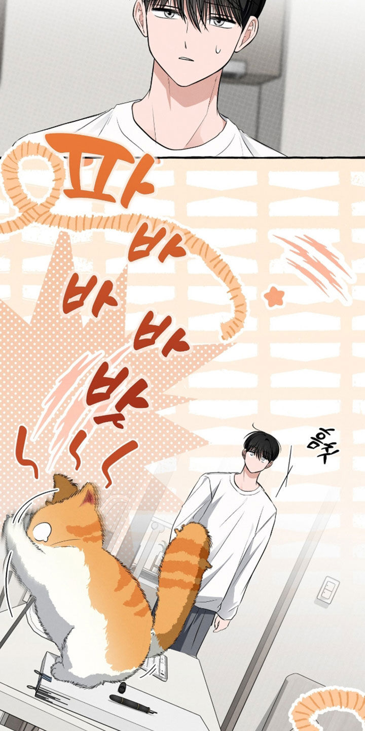 第55话 第12页