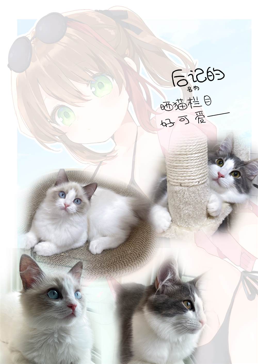 第104话 第16页