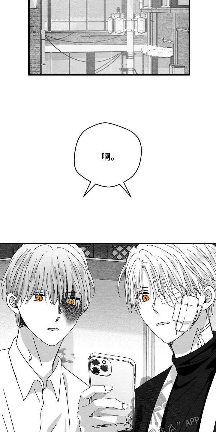第174话16