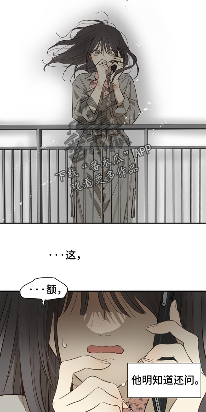 第114话 第11页