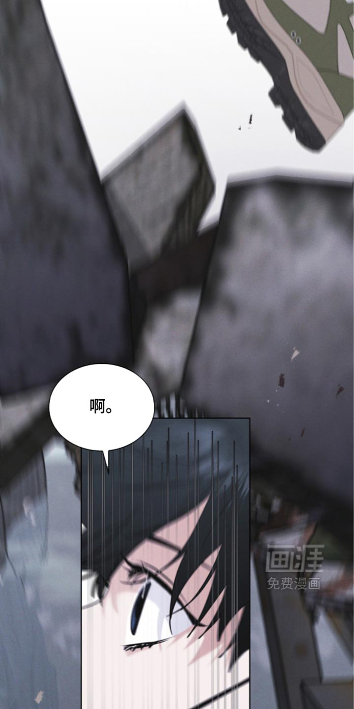 第207话 第3页