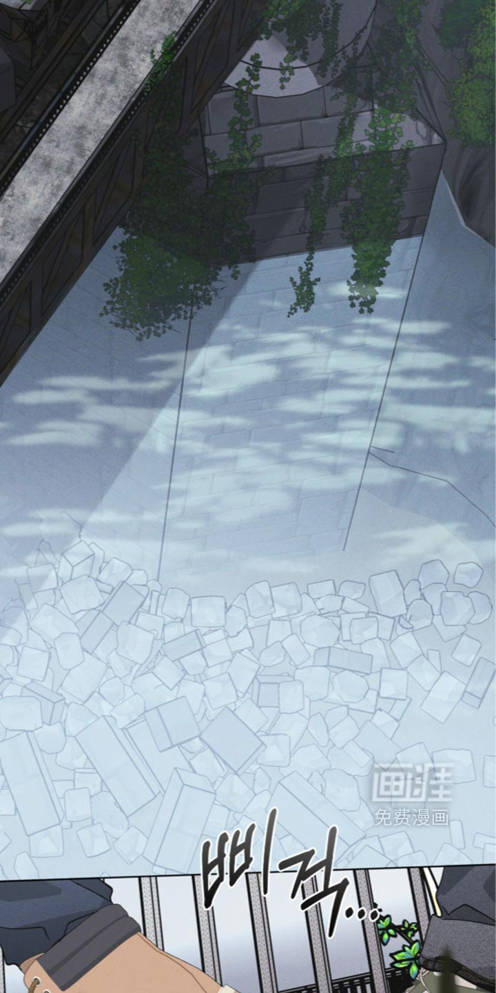 第206话 第12页