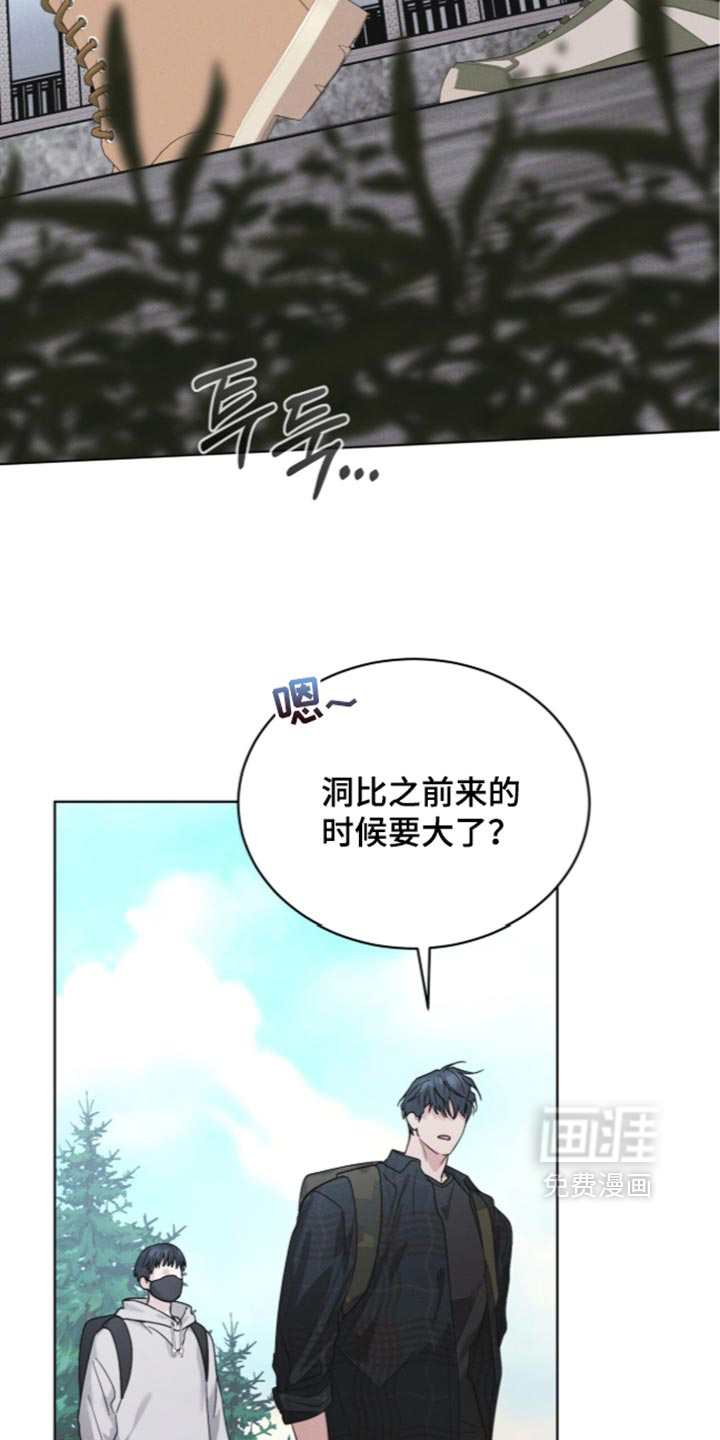 第206话 第13页