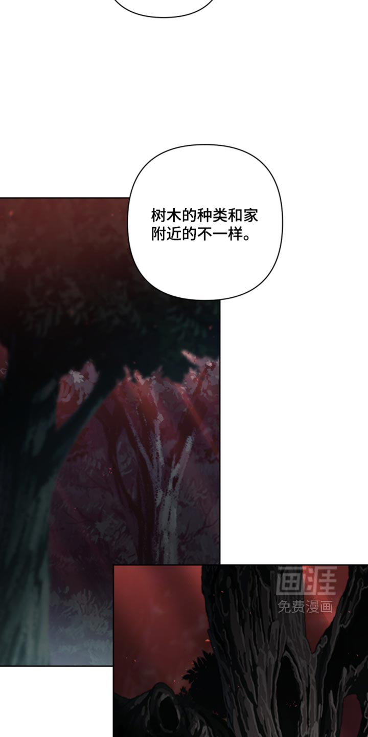 第41话 第31页