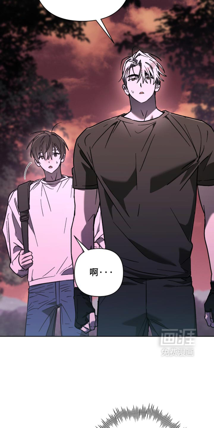 第41话 第20页