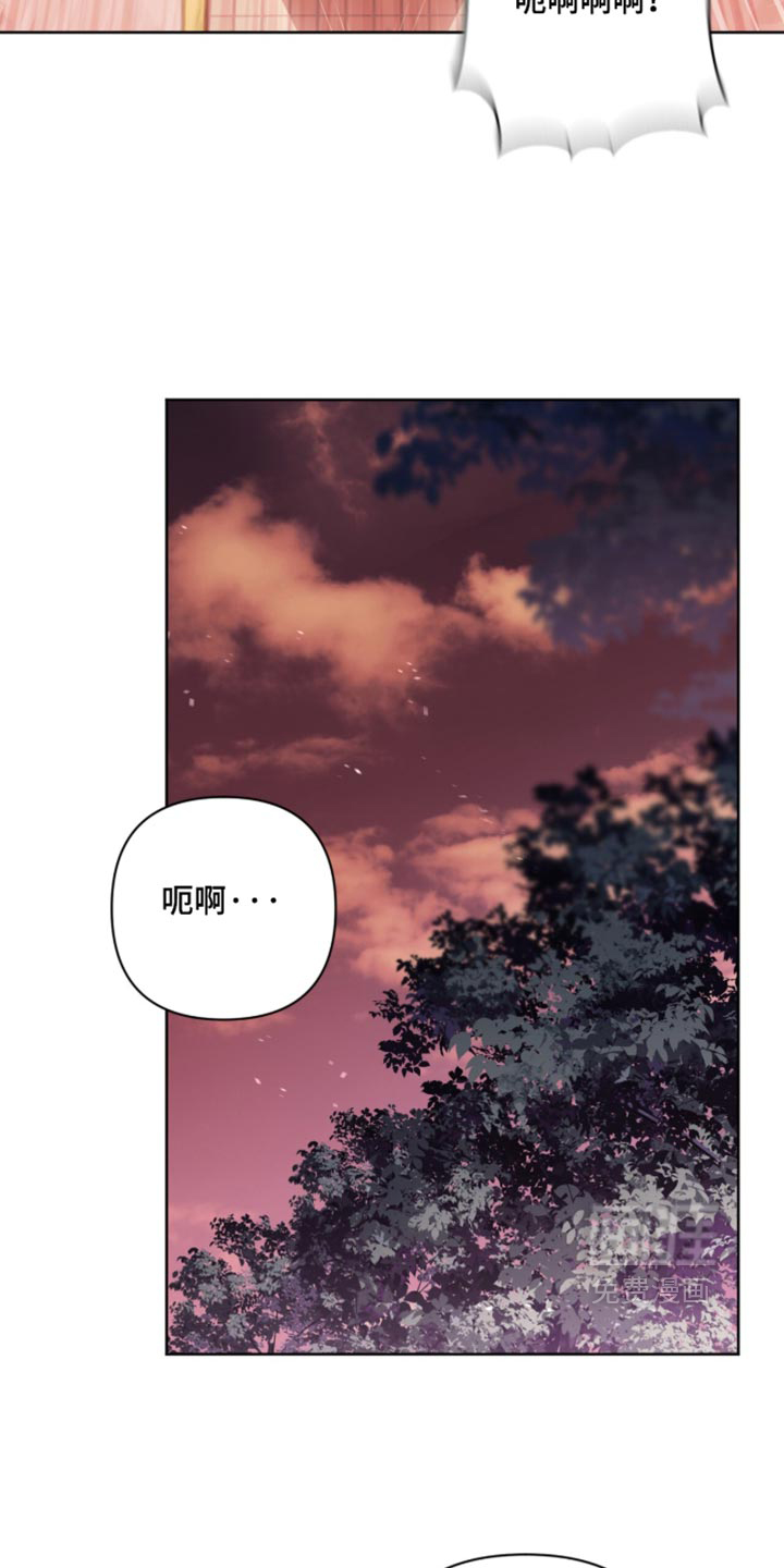 第41话 第13页