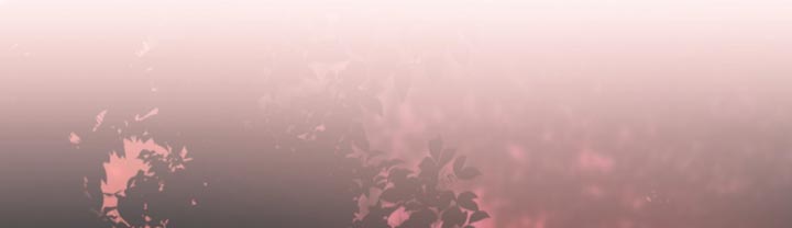 第41话 第17页