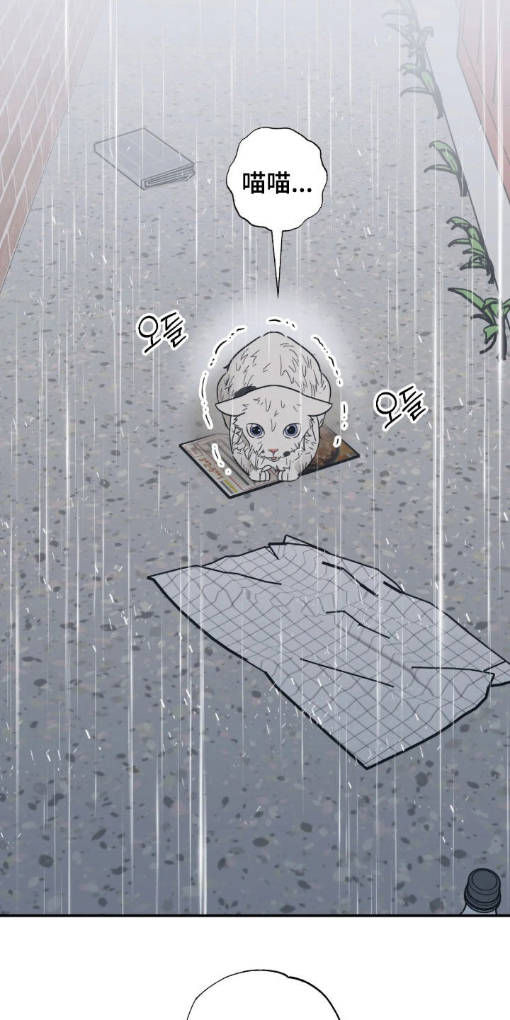 第46话 第14页