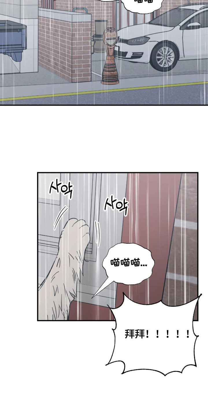第46话 第11页
