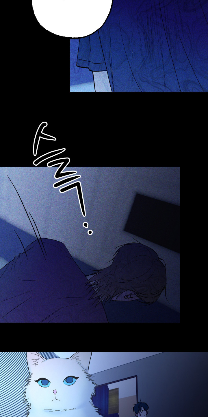 第54话 第8页
