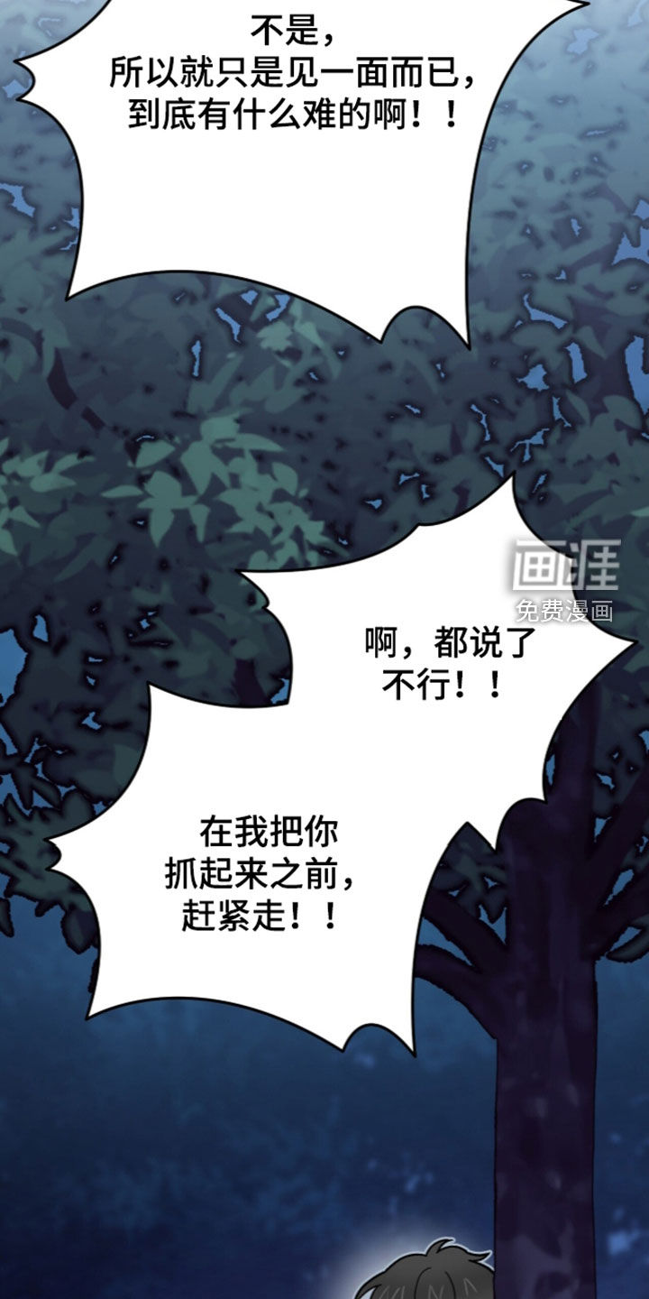 第113话 第12页