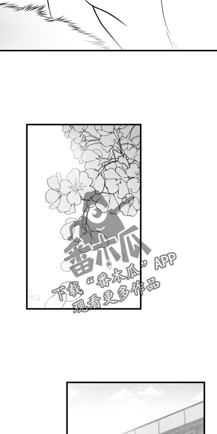 第138话 第21页