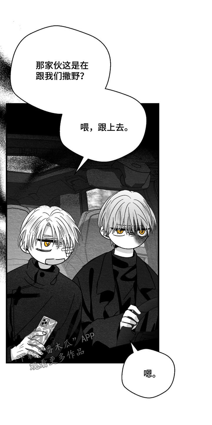 第179话11