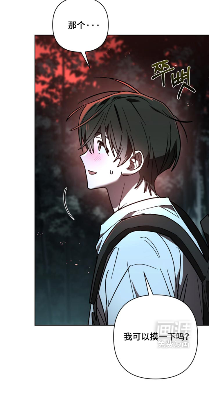 第43话 第17页