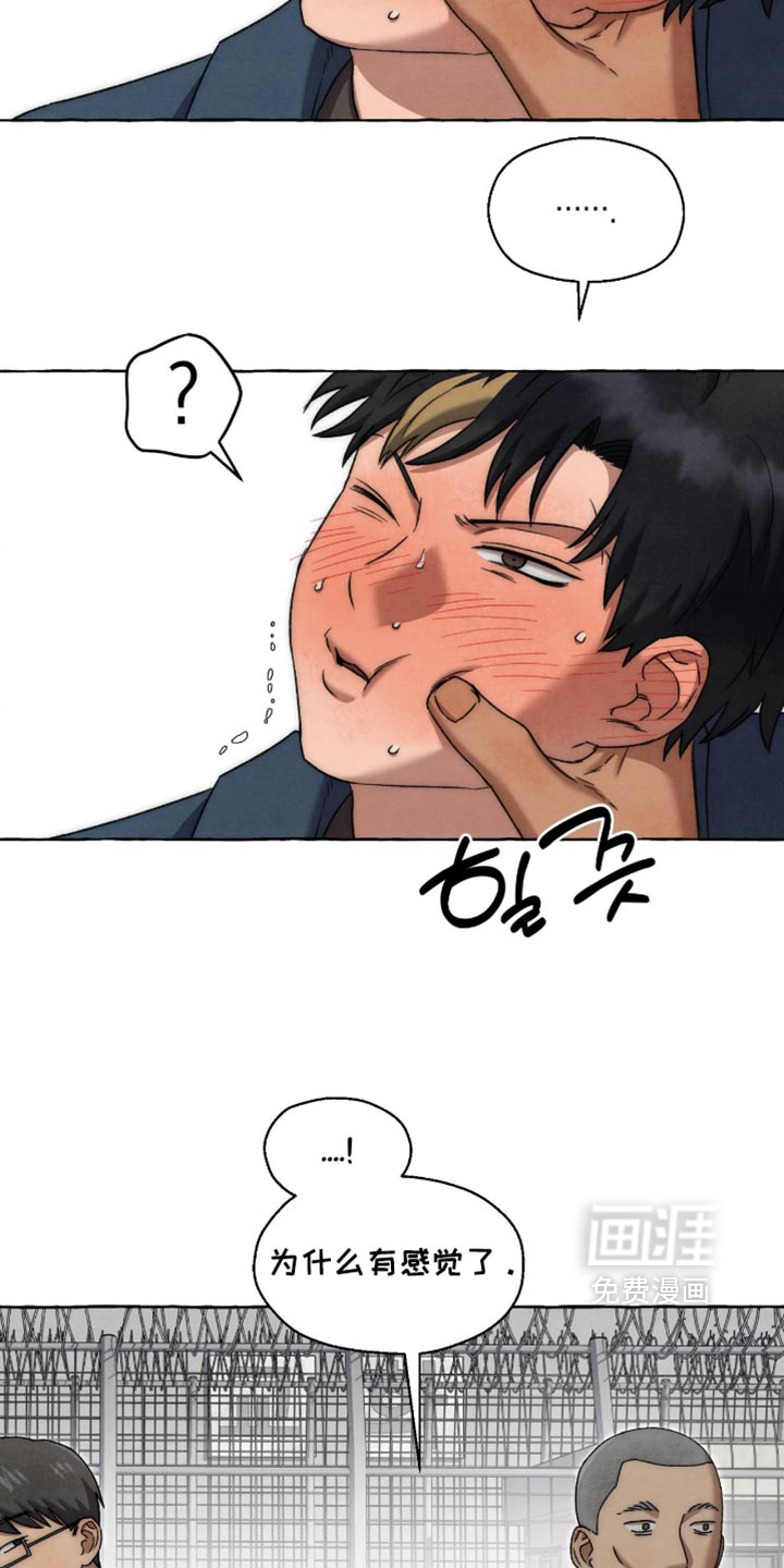 第146话 第17页