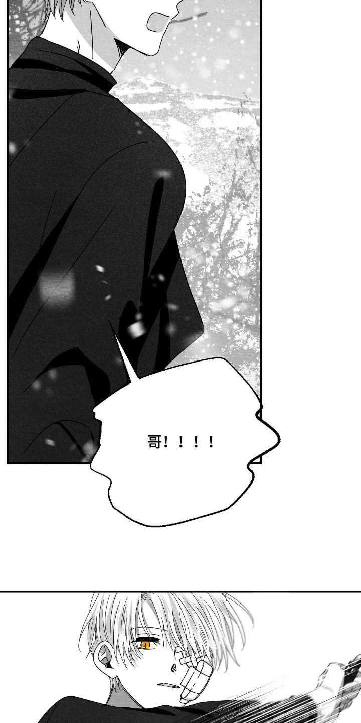 第181话14
