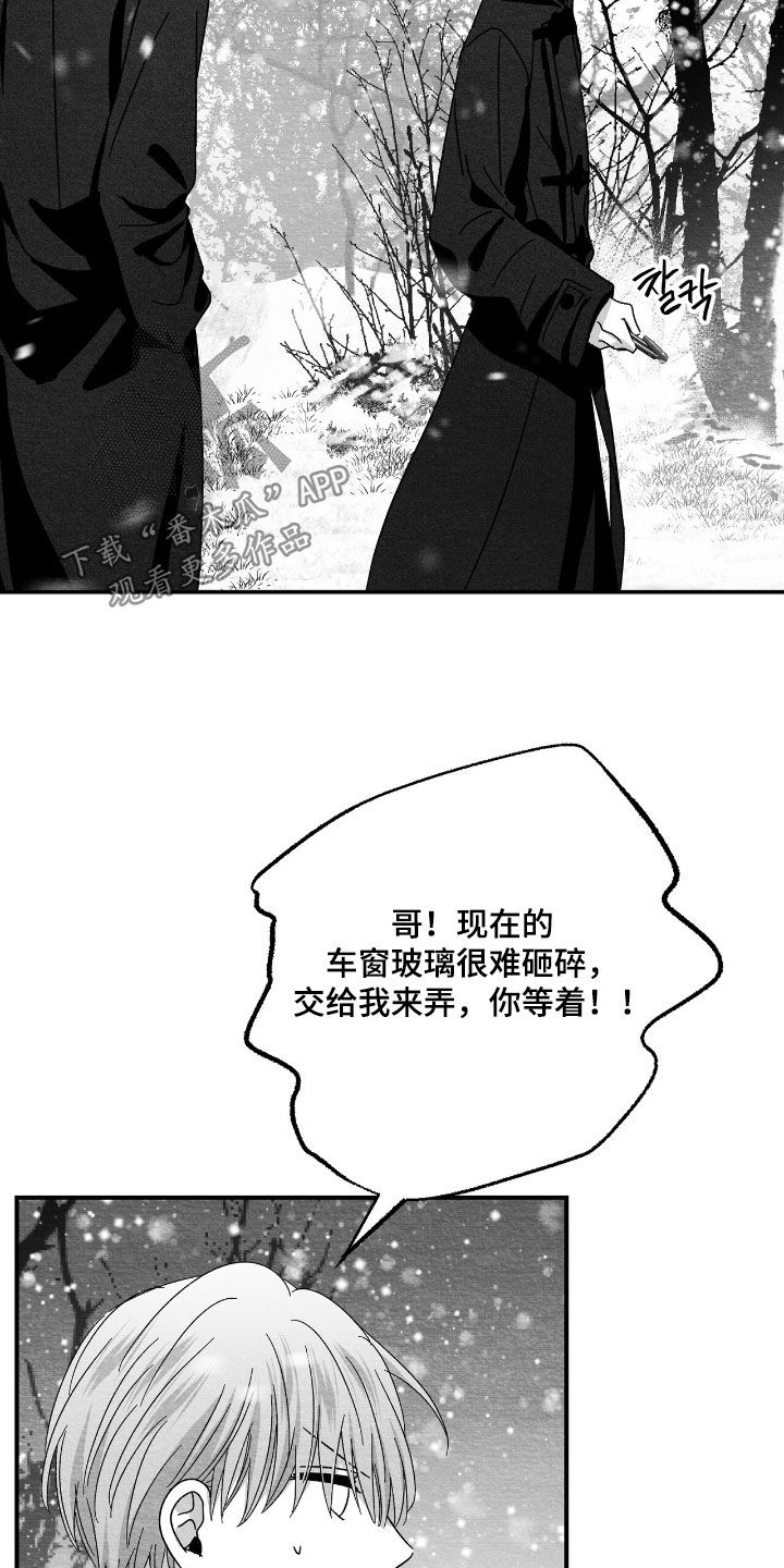 第181话13