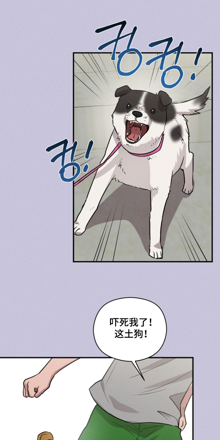 第116话21