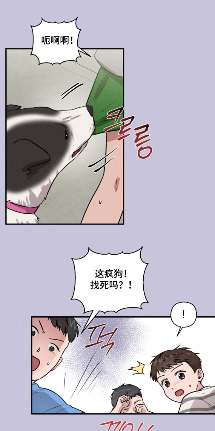 第116话24