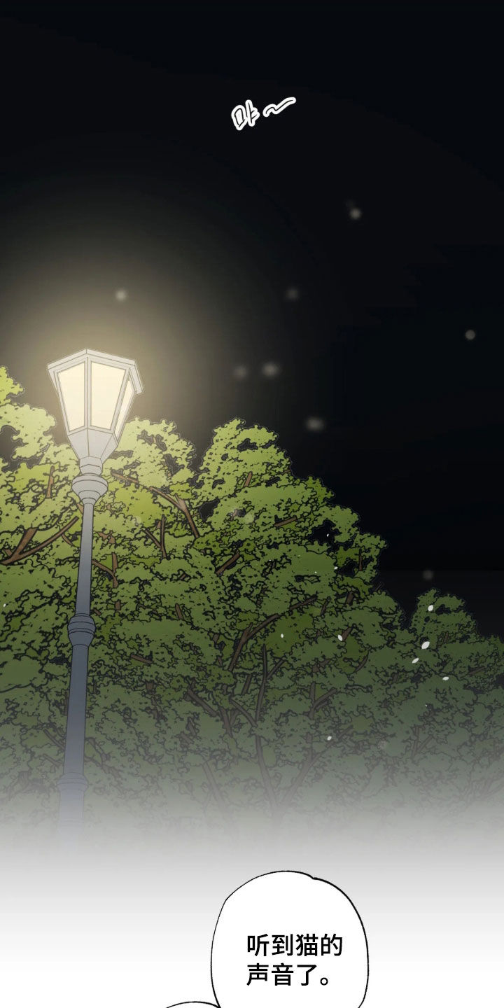 第48话 第10页