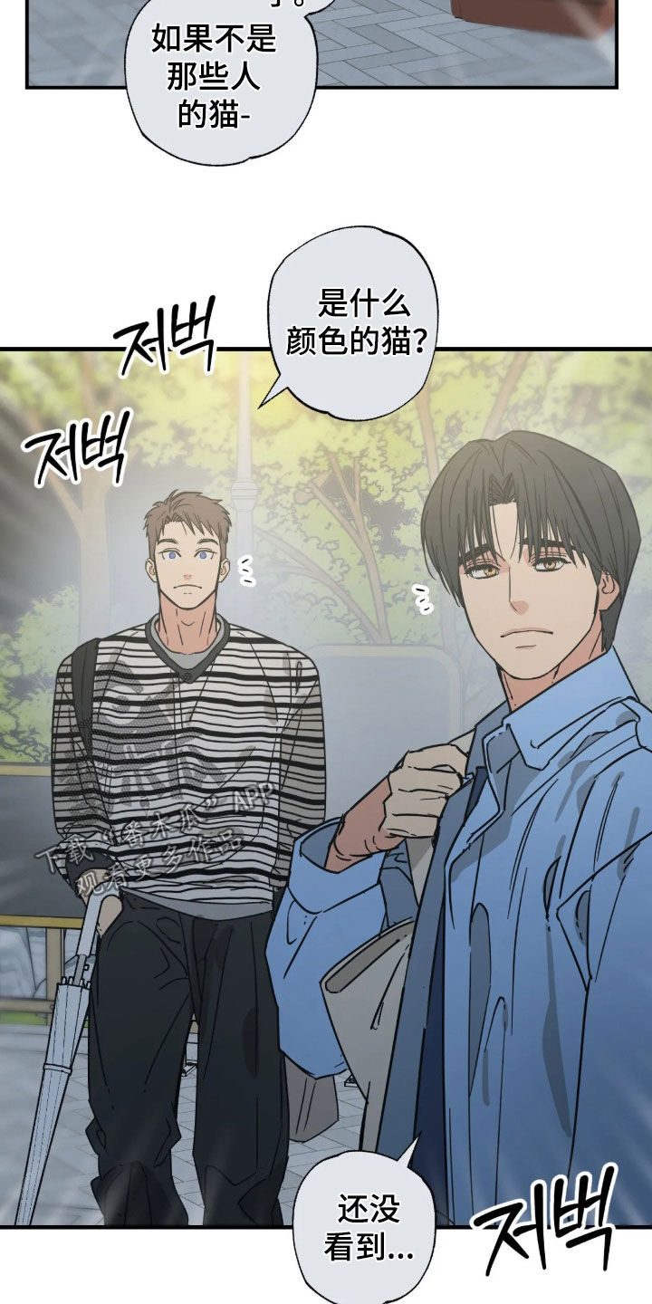 第48话 第19页