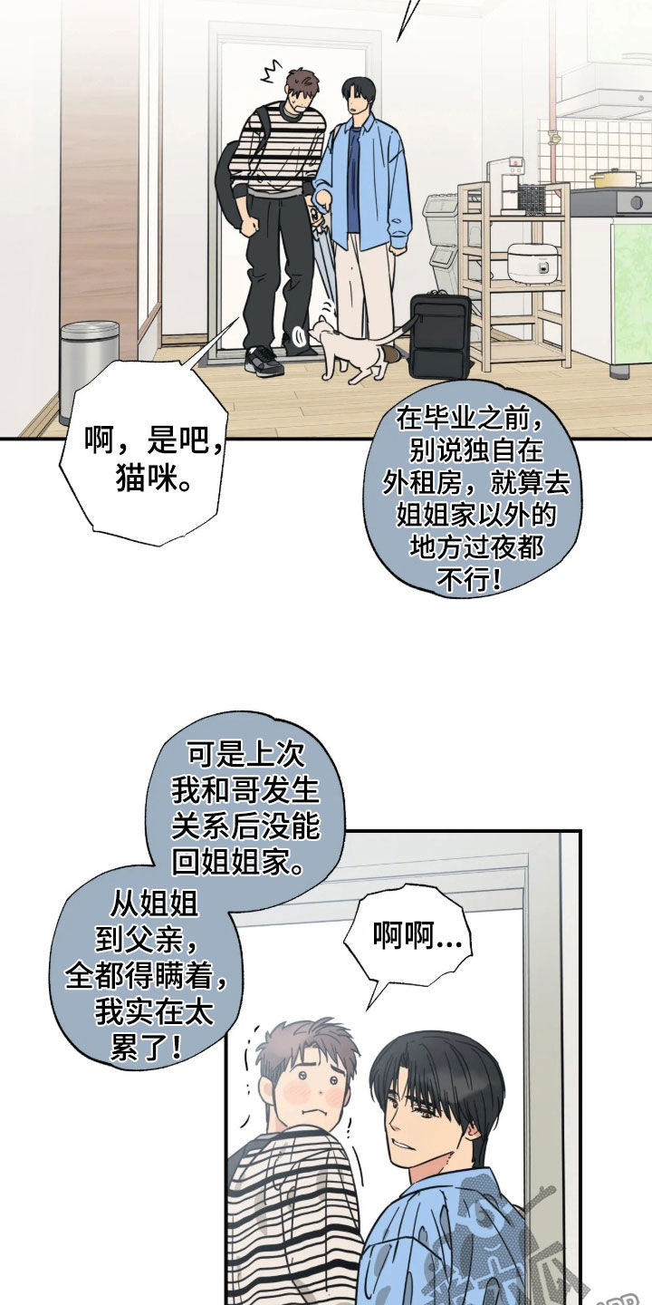 第47话 第17页