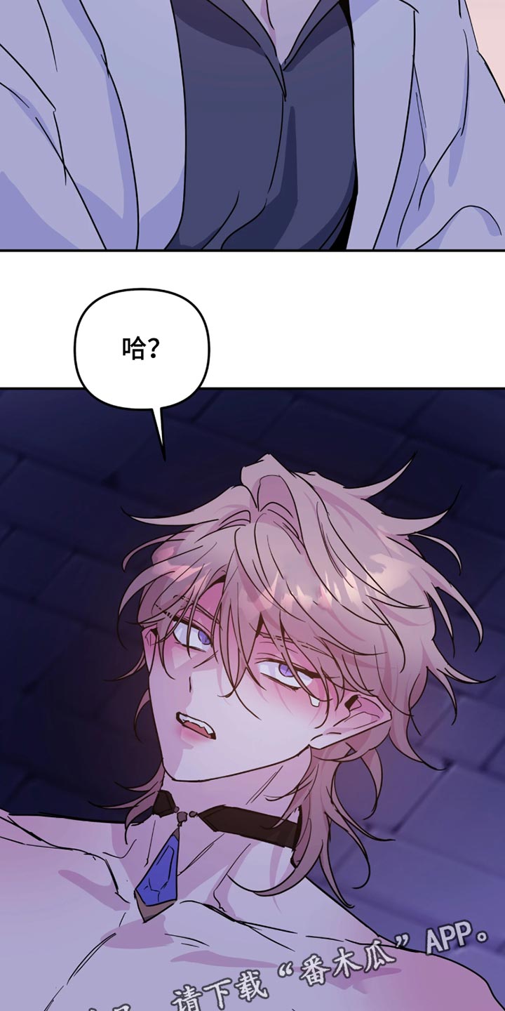 第163话19