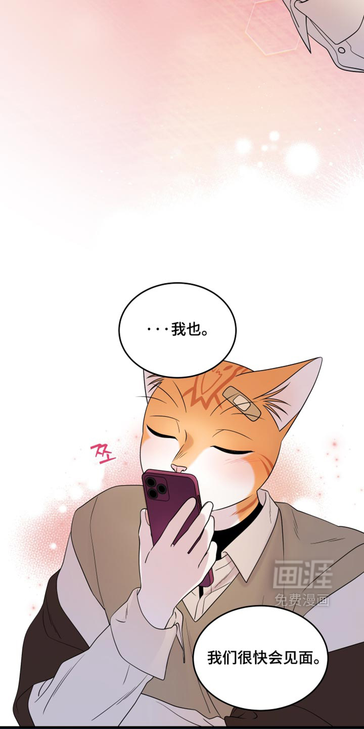 第219话20