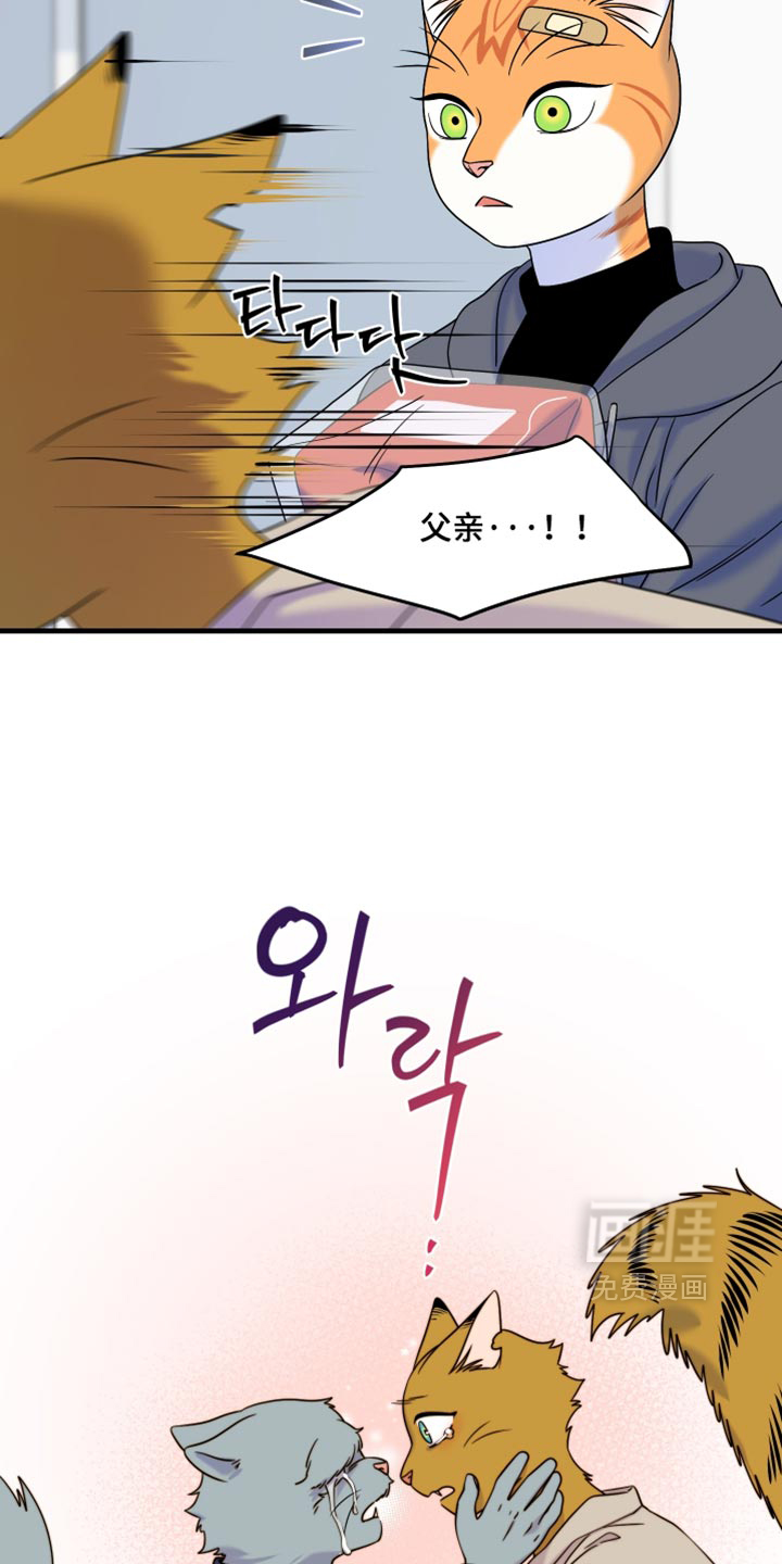 第219话2