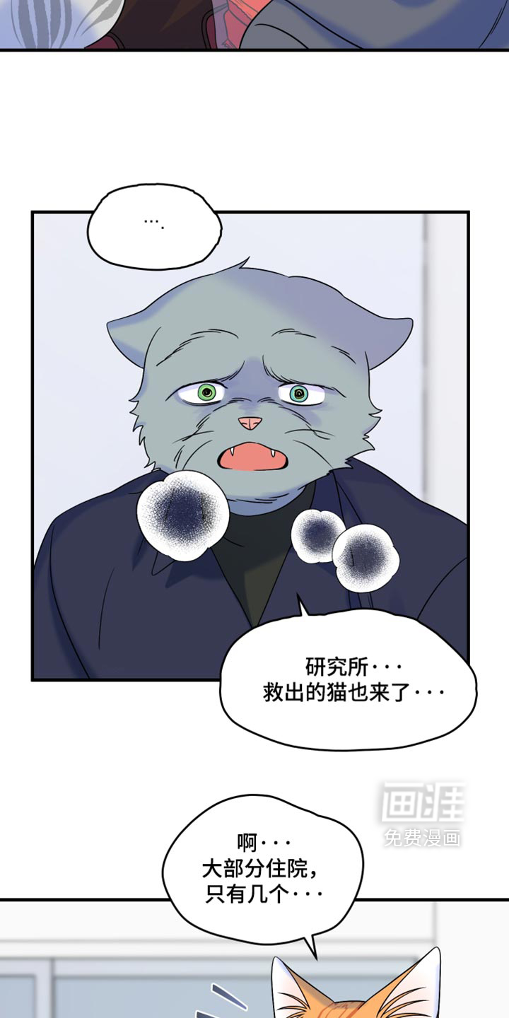 第219话1