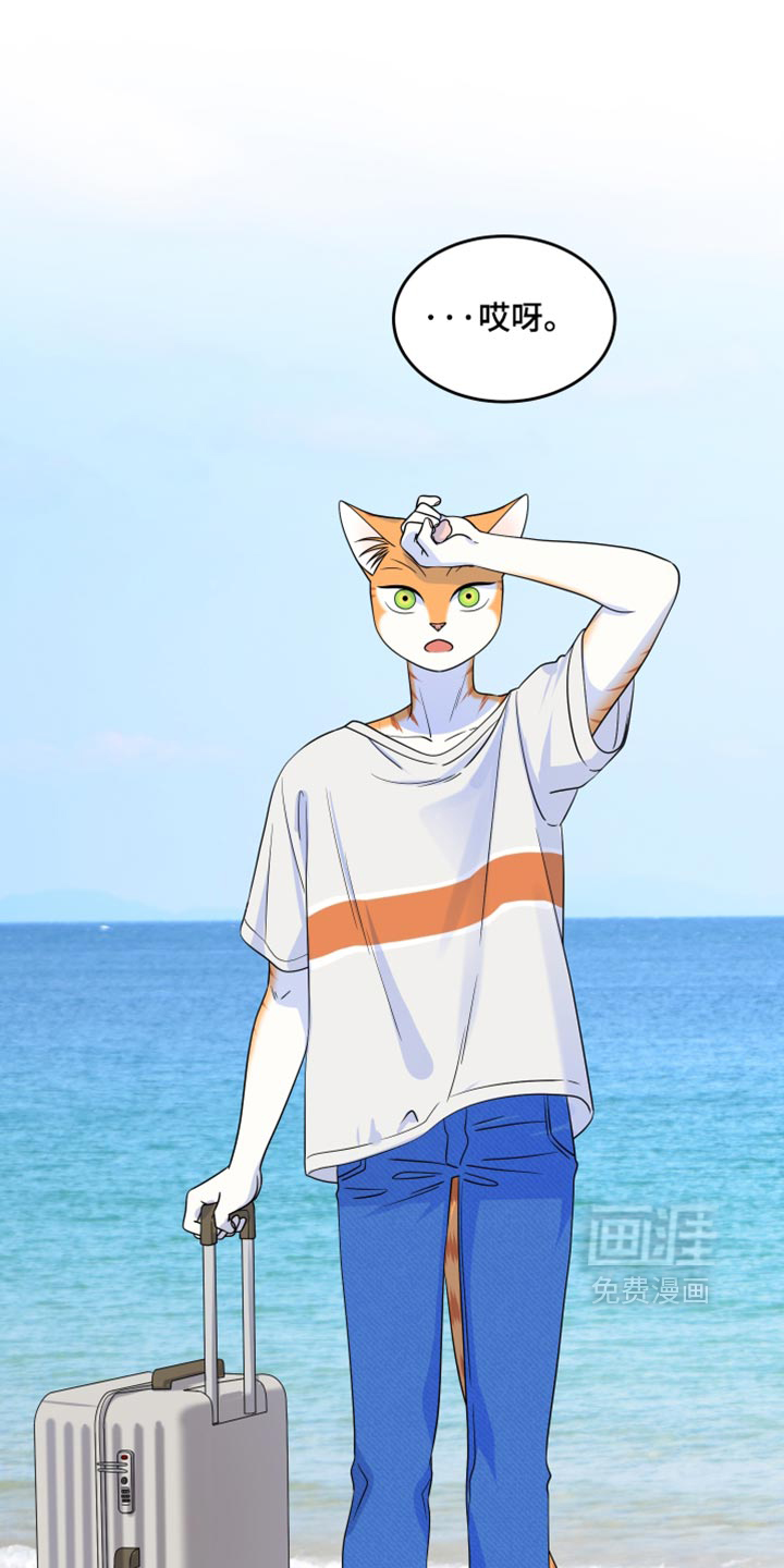第219话24