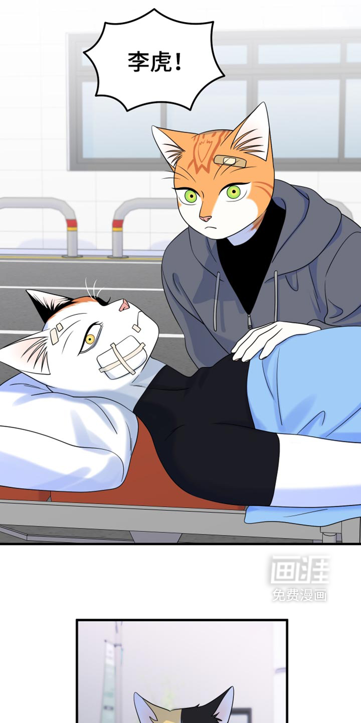第218话21