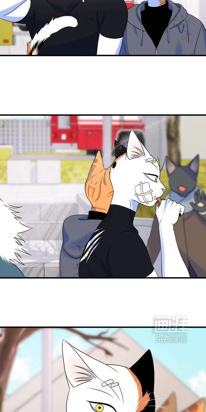 第218话11