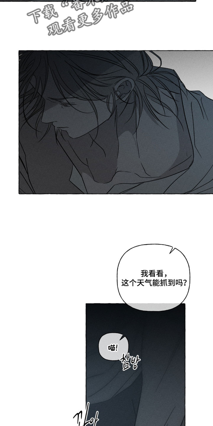 第162话29