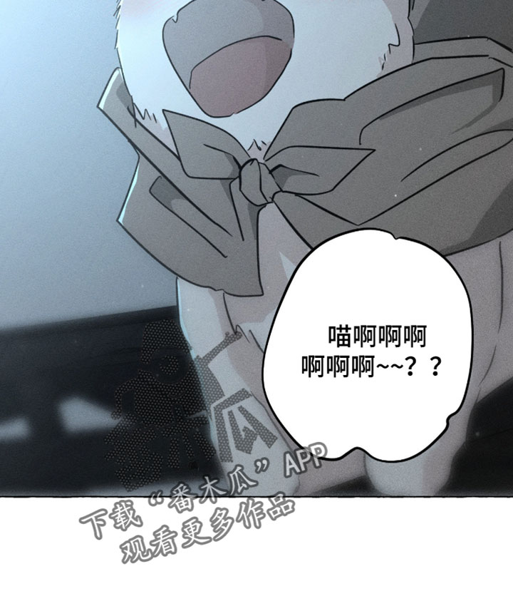 第161话18