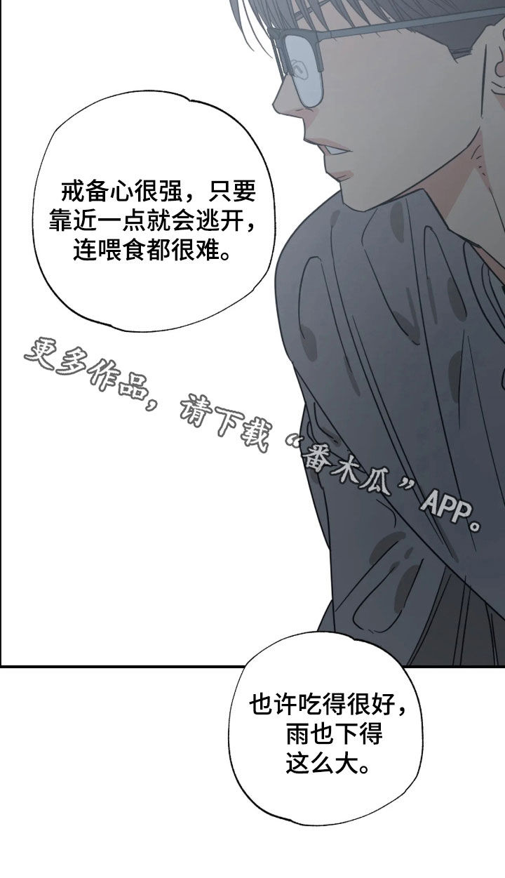 第45话 第26页