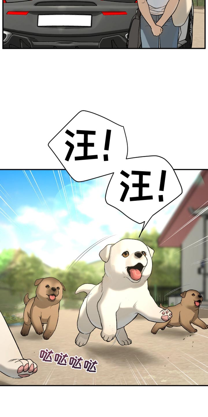 第289话17