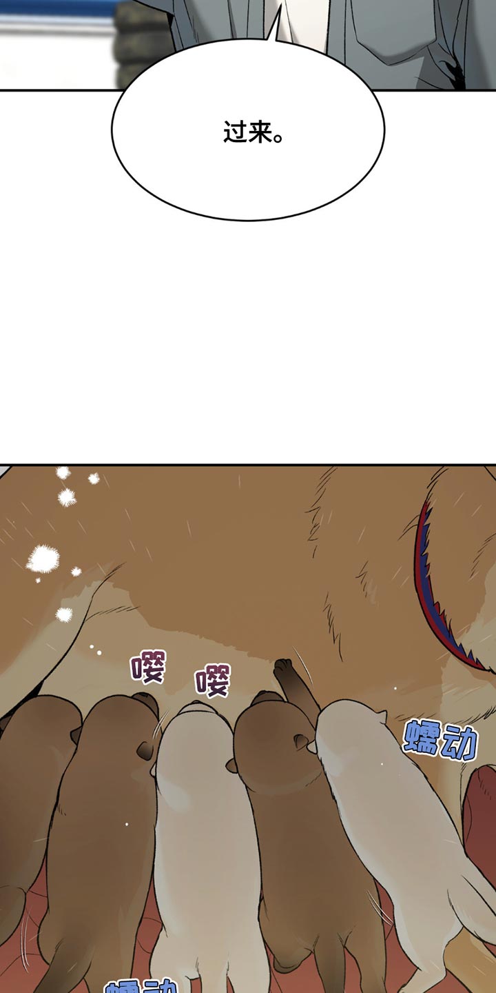 第215话12