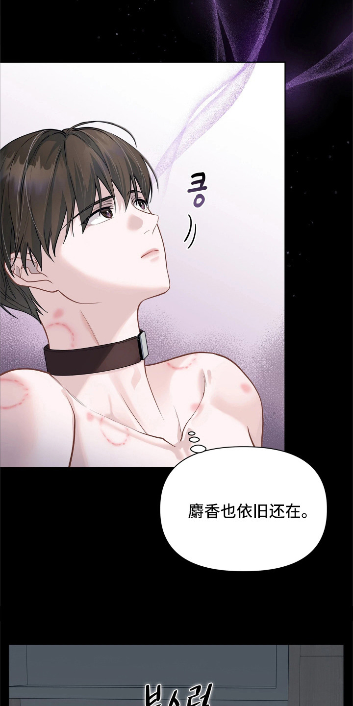 第11话 第13页