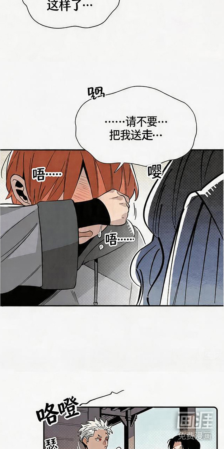 第11话 第17页