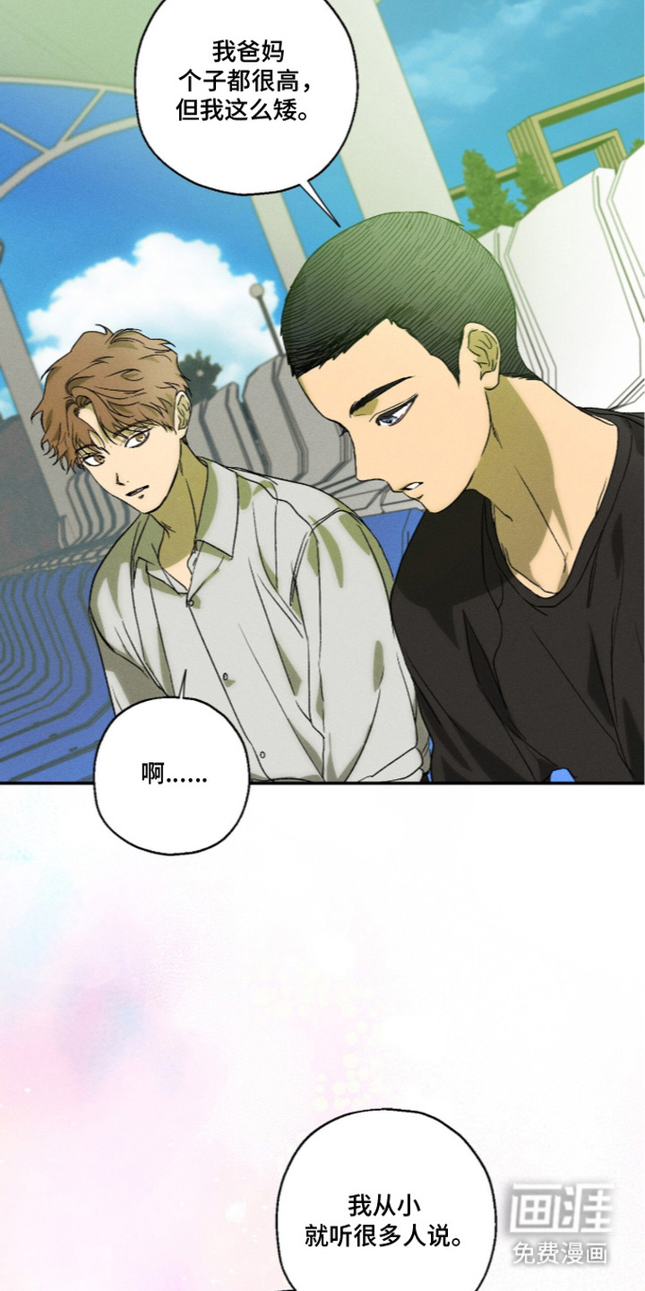 第15话 第13页