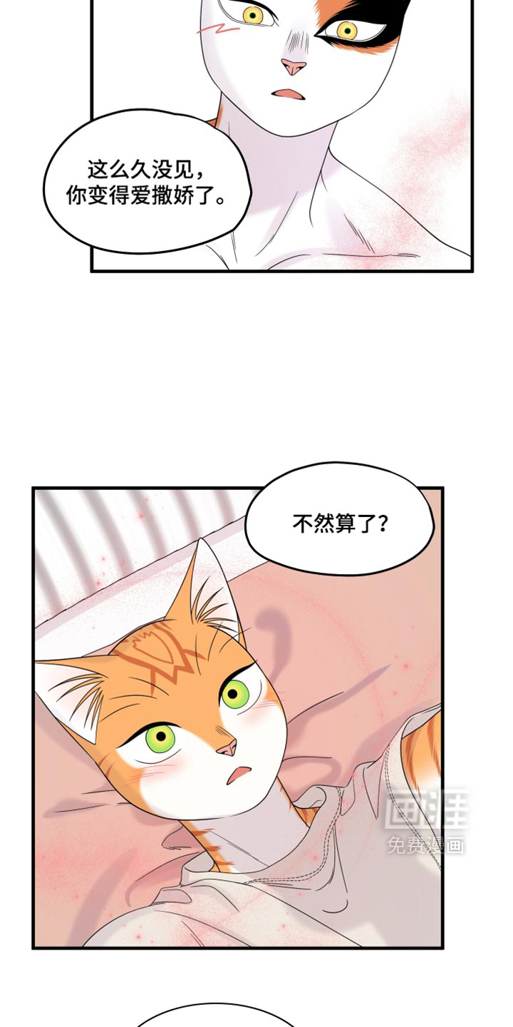 第221话18